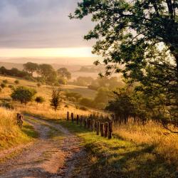 Hertfordshire Tourism Africa