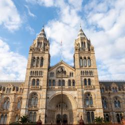 Natural History Museum, London Tourism Africa