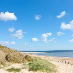Norfolk Tourism Africa
