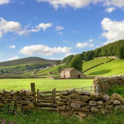 Yorkshire Dales Tourism Africa