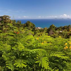 Le Gosier Tourism Africa