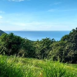 Les Abymes Tourism Africa