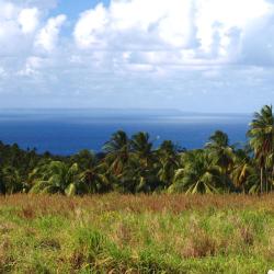 Marie Galante Tourism Africa