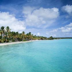 Saint-François Tourism Africa