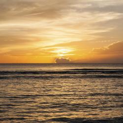 Tamuning Tourism Africa