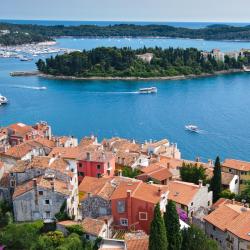 Dalmatia Tourism Africa
