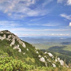 Gorski kotar Tourism Africa