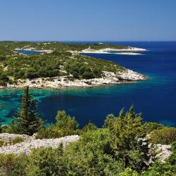 Vis Island Tourism Africa