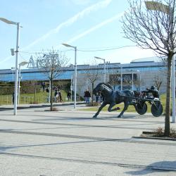 Arena Plaza Mall, Budapest Tourism Africa