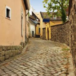 Central Hungary Tourism Africa