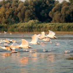 Danube Tourism Africa