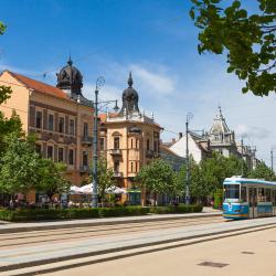 Debrecen Tourism Africa