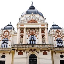 Pécs Tourism Africa