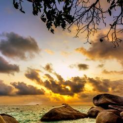 Pulau Bintan Accommodation Africa