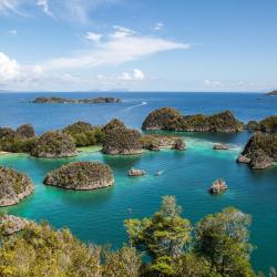 Raja Ampat Accommodation Africa
