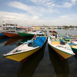 South Sulawesi Accommodation Africa