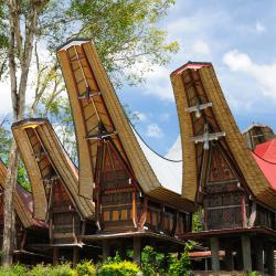 Sulawesi Accommodation Africa