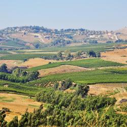 Golan Heights Tourism Africa