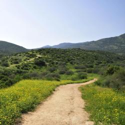Upper Galilee Tourism Africa