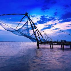 Cochin Accommodation Africa