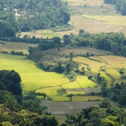 Coorg Accommodation Africa