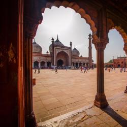 Delhi NCR Accommodation Africa