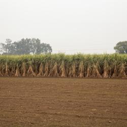 Haryana Accommodation Africa