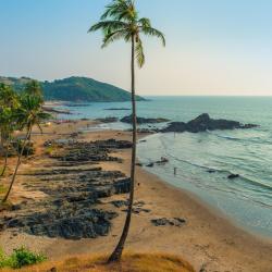 North Goa Accommodation Africa