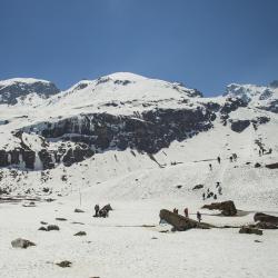 Sikkim Accommodation Africa