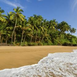 South Goa Accommodation Africa