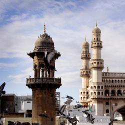 Telangana Accommodation Africa