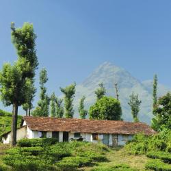 Wayanad Accommodation Africa
