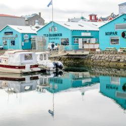 Reykjavik Old Harbour, Reykjavík Accommodation Africa