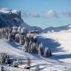 Alta Badia Tourism Africa