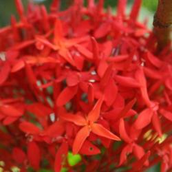 Falmouth Tourism Africa