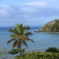 Greater Antilles Tourism Africa