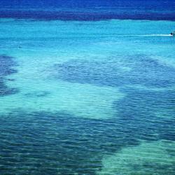 Ocho Rios Tourism Africa