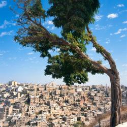 Amman Tourism Africa
