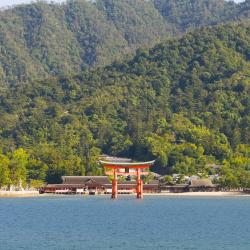 Aichi Tourism Africa