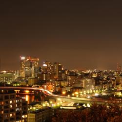 Fukuoka Tourism Africa