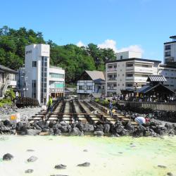 Gunma Tourism Africa