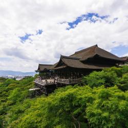 Kyoto Tourism Africa