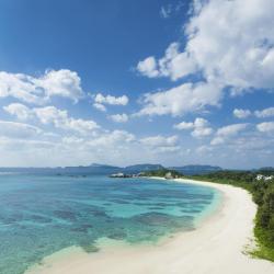 Okinawa Tourism Africa