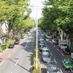 Omotesando, Tokyo Tourism Africa