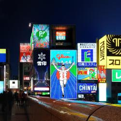 Osaka Prefecture Tourism Africa