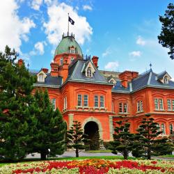 Sapporo Tourism Africa