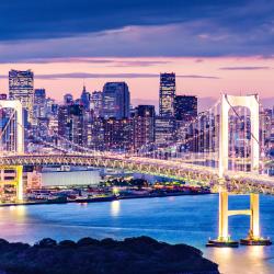 Tokyo Tourism Africa