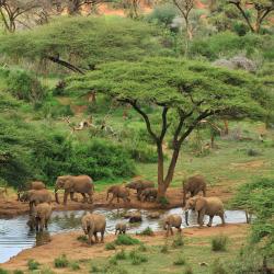 Laikipia Tourism Africa