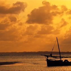 Lamu Tourism Africa
