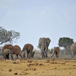 Makueni Tourism Africa